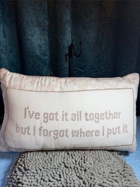 Embroidered Throw Pillow - Blush Pink Text